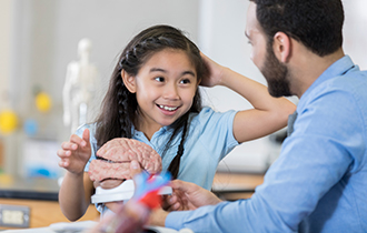 A child points to their head as a teacher holds a human brain model.