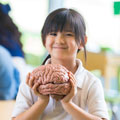 Girl holding brain