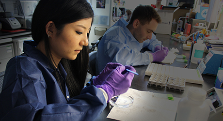 Two researchers sitting at a laboratory bench working with material in a petri dish.