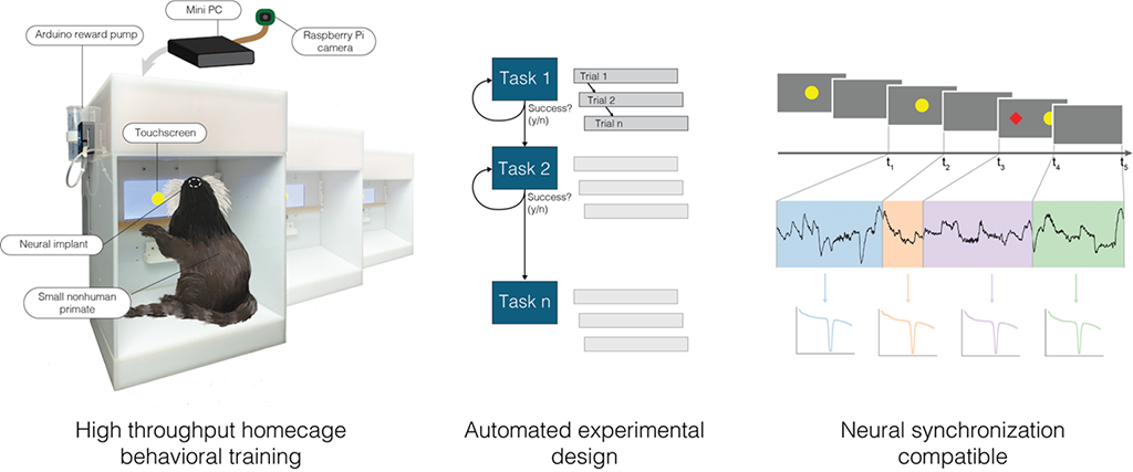 Callicog capabilities for in cage training of animals to perform behavioral tasks and monitor electrophysiology.