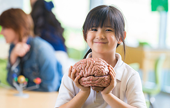 A child holding a model of a brain.