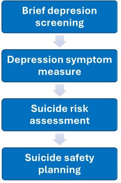 Brief depression screening to depression symptom measure to suicide risk assessment to suicide safety planning.