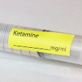 A syringe labeled "Ketamine" beside a vial containing the medication.